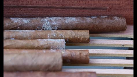 how to mold a cigar